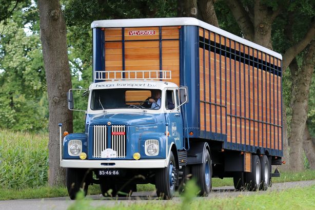 Heuga Scherpenzeel BS-46-86 Scania 110 Super